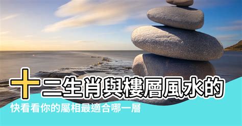 屬鼠房子坐向|【風水鼠人的房子】屬鼠最佳住房樓層和風水方位 